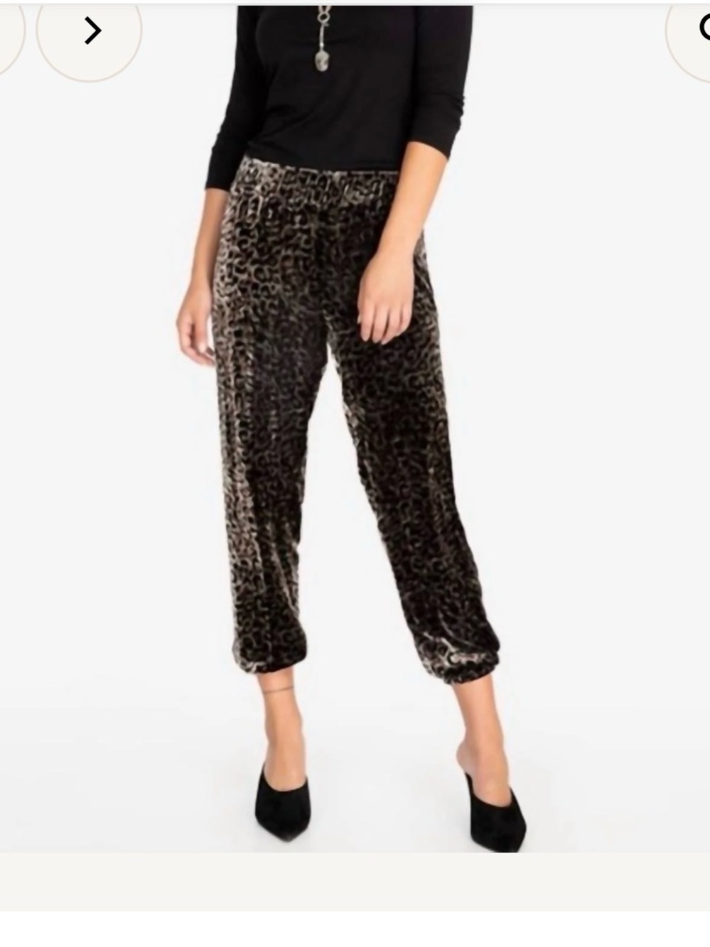 Johnny Was Brown Velvet Leopard-Print Jogger Pants